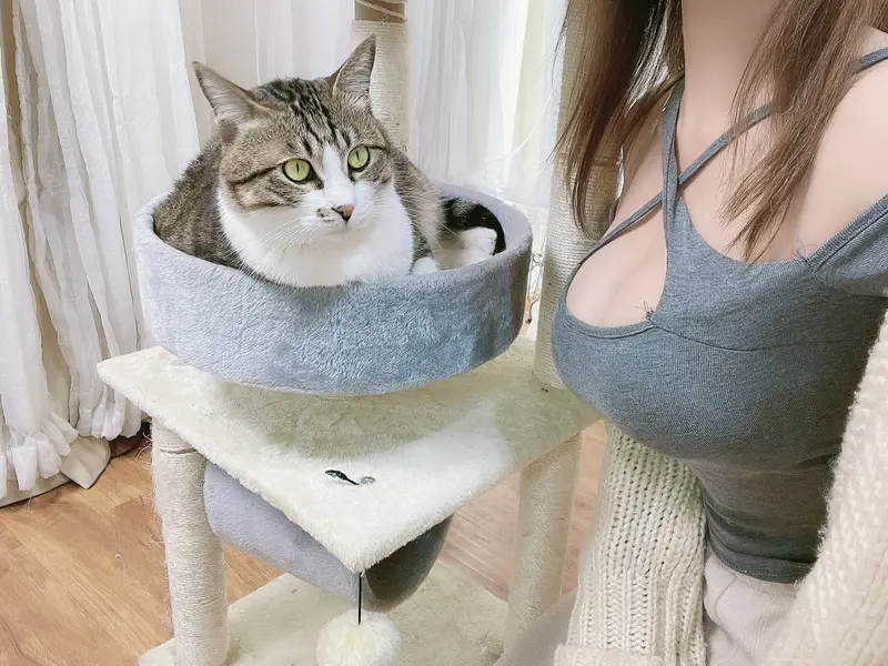 小仓千代w - NO.028 (yummychiyo) [Twitter] – 178.webp