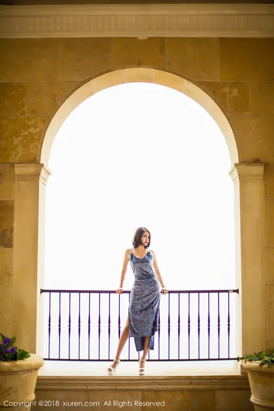 Ethereal Elegance: A Portrait of Nian Shi