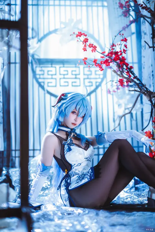 蠢沫沫原神旗袍写真集