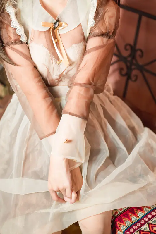 Erotic Maid: A Sheer Delight in Brown